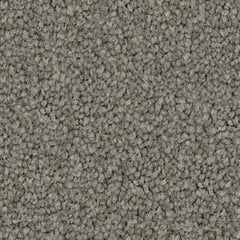 Domain Rise - Redbook Carpets - $$