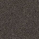 Gentle Essence - Redbook Carpets - $$