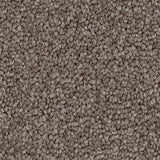 Endless Charm - Redbook Carpets - $$